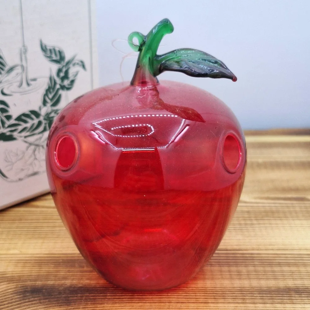 Red Apple Hand-blown Hanging Propagation Air Plant‎ Glass Sears Box